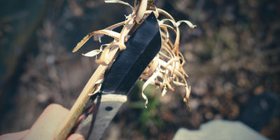 Exploring the Top 5 Essential Knives for Your Outdoor Adventures